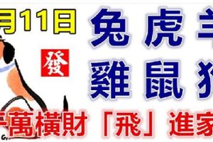 8月11日生肖運勢_兔、虎、羊大吉