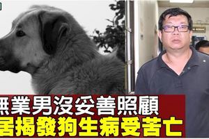 疏忽照顧造成狗生病受苦亡　無業男罰400令吉