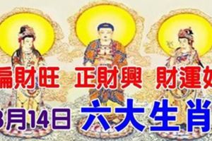 8月14日，偏財旺，正財興，財運好的六大生肖！