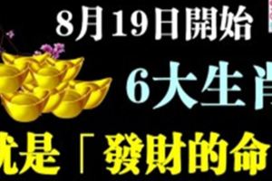 8月19日開始，6大生肖就是「發財的命」