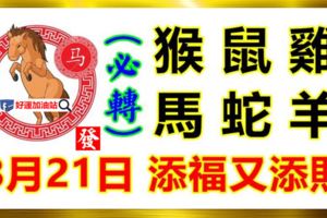 8月21日生肖運勢_猴、鼠、雞大吉