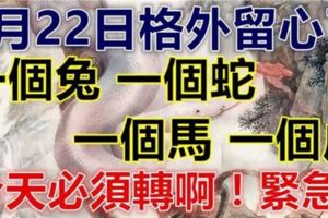 注意明天！8月22日要格外留心了，一個兔，一個蛇，一個馬，一個虎！