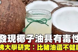 椰子油具有健康風險　哈佛教授：「十足毒藥」