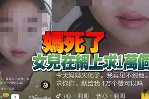 「今天媽媽火化了。我再見不到他。求求你們。就給我1萬個讚可以嗎」。