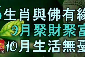 5生肖與佛有緣，小人不敢靠近，9月聚財聚富，10月生活無憂！