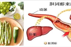 降膽固醇，請收下這份飲食指南，供大家參考。