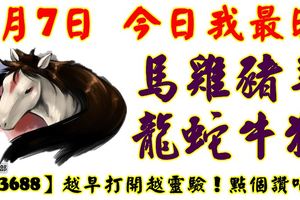 9月7日，今日我最旺！馬雞豬羊龍蛇牛狗！【33688】越早打開越靈驗！點個讚吧！