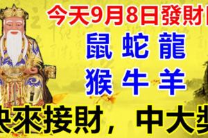 今天9月8日發財日！鼠、蛇、龍、猴、牛、羊，快來接財，中大獎