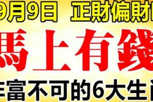 9月9日開始，正財偏財走高，馬上有錢的6大生肖