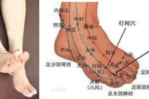 一位老中醫的寶貴養生經驗：拉拉足背，疏洩肝膽、調養脾胃！