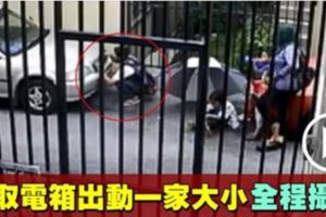 男子偷取轎車電箱　妻兒竟在旁等候把風