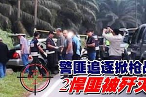 警匪追逐掀槍戰2悍匪被殲滅