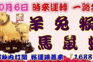 10月6日時來運轉一路發，羊兔猴馬鼠蛇，88秒內打開，好運跟著來『16888』