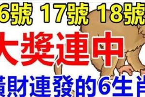 16.17.18號橫財連發，一發再發，大獎連中，一中再中必暴富的生肖