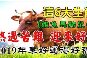 這6大生肖，熬過苦難貧窮迎來了好運，2019年享好運得好福