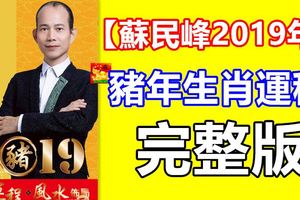 【蘇民峰2019年】豬年生肖運程完整版