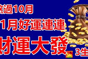 熬過10月，11月好運連連，財運大發的3生肖