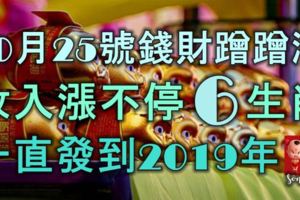 10月25號錢財蹭蹭漲，收入漲不停的6生肖，一直發到2019年！