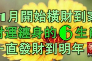 11月開始橫財到家，財運纏身的6生肖，一直發財到明年！