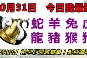 10月31日，今日我最旺！蛇羊兔虎龍豬猴狗！【55888】越早打開越靈驗！點個讚吧！