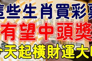 10月31日這些生肖偏財運最旺，買彩票也會中頭獎