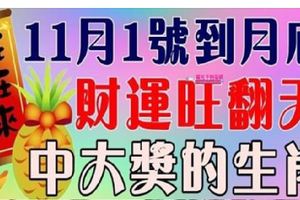 11月1號到月底，財運旺翻天，有望中大獎的生肖~