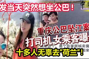 事發當天突然想坐公巴!竟然鬧出事端!致使十多人無辜去「荷蘭「！