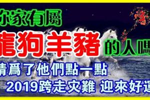 2019年誰最發達？家有這4個屬相，2019年馬上有錢！