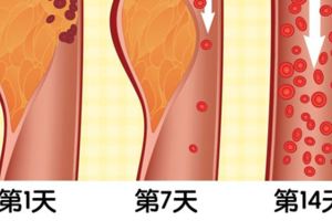 連續8年「拿下第一名的減肥菜單」　醫師也推崇：有效鏟肉、抗高血壓