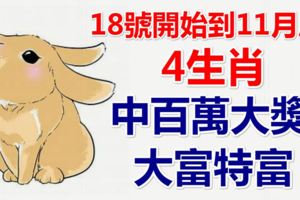 18號開始到11月底，必中一次百萬大獎，能夠大富特富的4生肖!