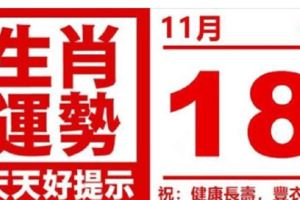 生肖運勢，天天好提示（11月18日）