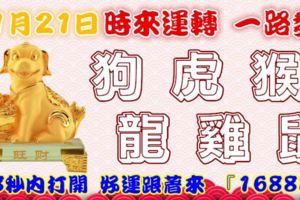 11月21日時來運轉一路發，狗虎猴龍雞鼠，88秒內打開，好運跟著來『16888』