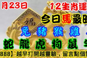 2018年11月23日，星期五農歷十月十六（戊戌年癸亥月己未日）