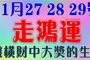 11月27，28，29號走鴻運，發橫財中大獎的生肖