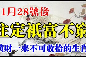 11月28號後大吉大利，橫財一來不可收拾，註定只富不窮的生肖！