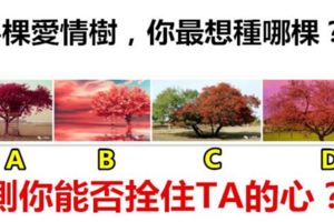 4棵愛情樹，你最想種哪棵？測你能否拴住TA的心？