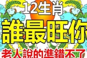 12生肖，誰最旺你！老人說的錯不了！