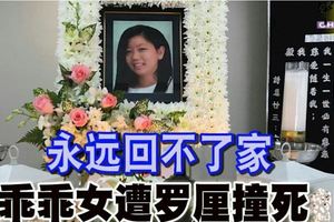 永遠回不了家乖乖女遭羅釐撞死