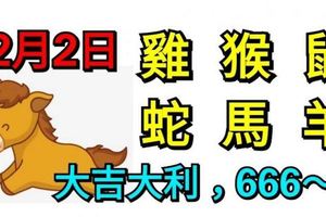 12月2日生肖運勢_雞、猴、鼠大吉