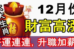 12月份，六大生肖財富高漲，好運連連，升職加薪！