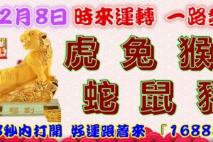 12月8日時來運轉一路發，虎兔猴蛇鼠豬，88秒內打開，好運跟著來『16888』