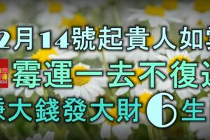 12月14號起貴人如雲，黴運一去不復返，賺大錢發大財的6大生肖！