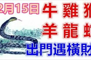 12月15日生肖運勢_牛、雞、猴大吉