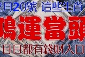 12月20號，鴻運當頭的6大生肖