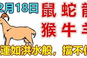 12月18日生肖運勢_鼠、蛇、龍大吉