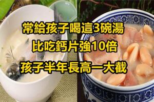 孩子多喝這3碗湯，含鈣量高，鈣吸收率高，你再不給孩子吃就虧了