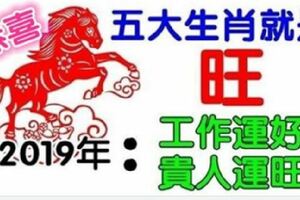 2019年絕處逢生，財氣飆升，就是旺的5個生肖