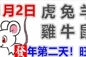 1月2日生肖運勢_虎、兔、羊大吉