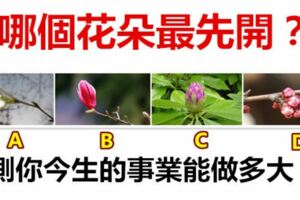 哪個花朵最先開？測你今生的事業能做多大？