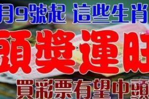 1月9號開始頭獎運旺，買彩票有望中頭獎的生肖【前八名的人請留意】